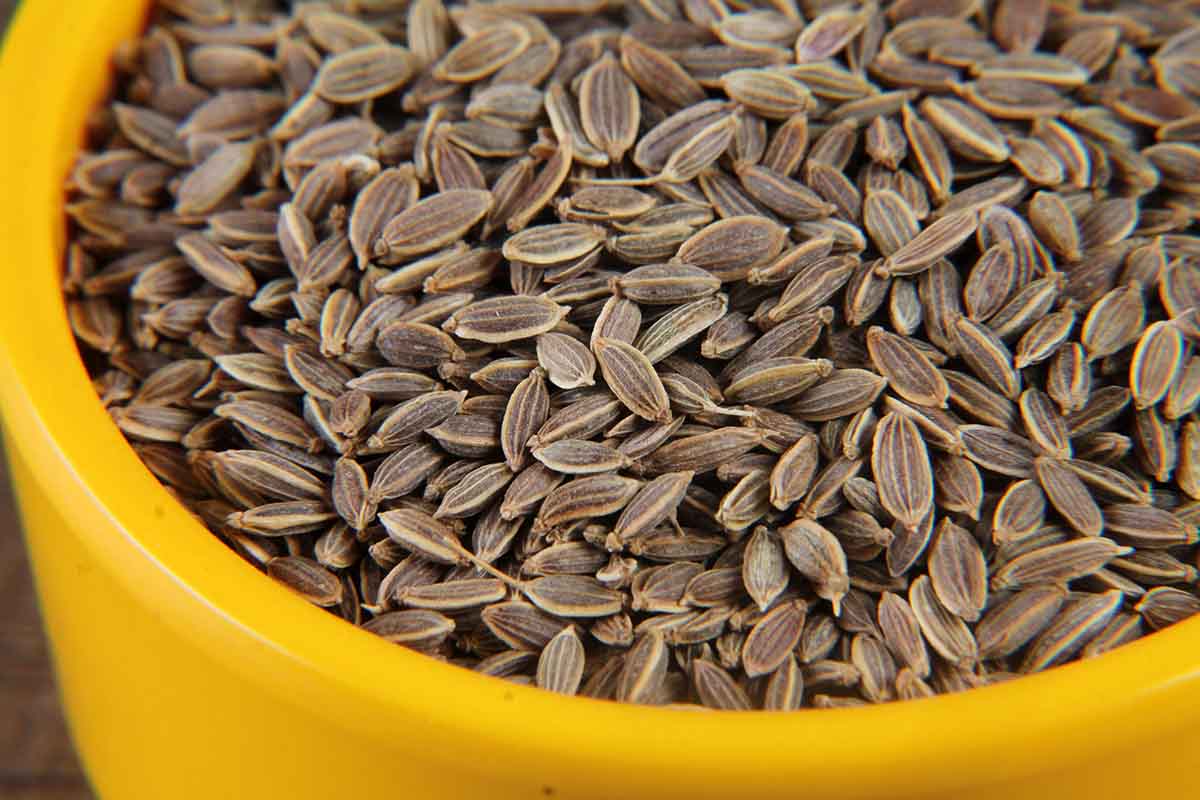 Aniseed Suwa Dill Seed 100 Gm