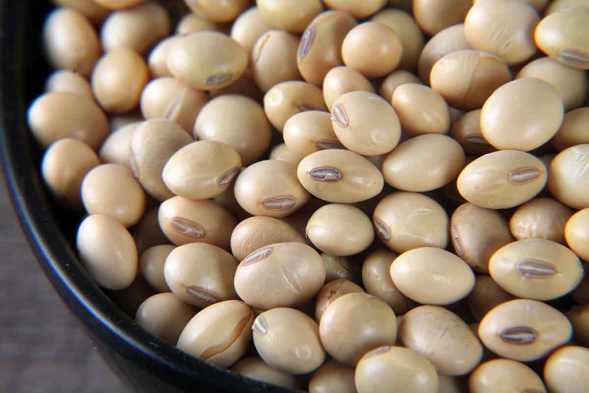Soyabean/Soya Dana 500 Gm