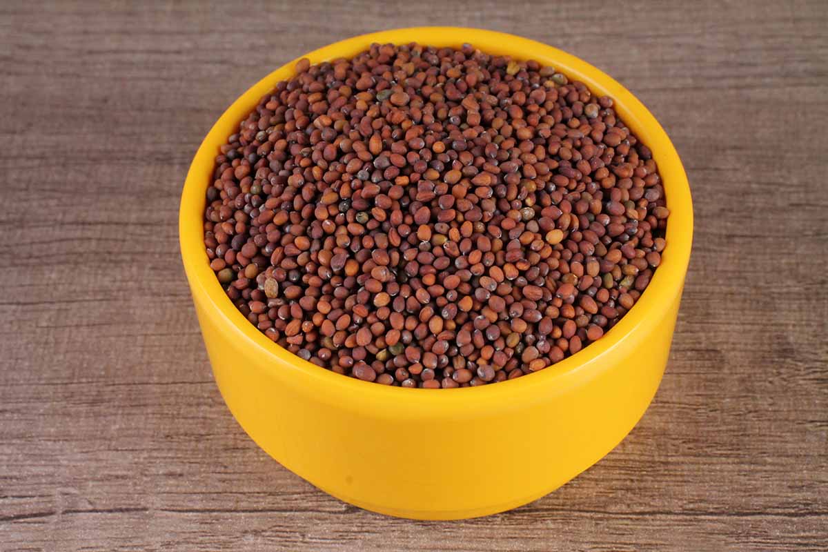 Red Mustard Lal Rai 100 Gm