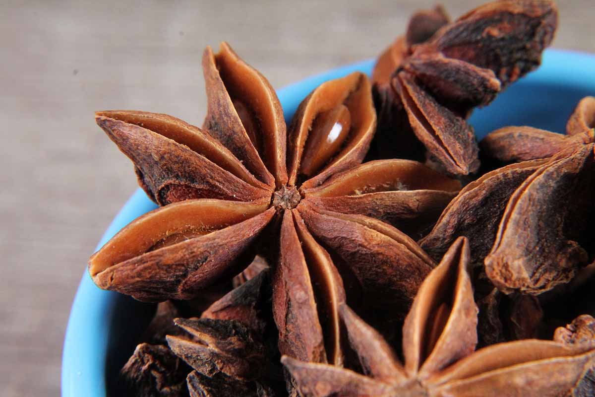 Star Anise/Chakri Phool 20 Gm