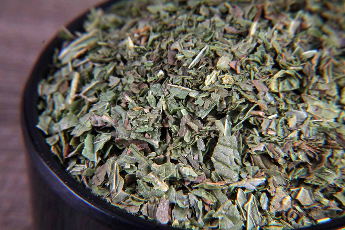 Freeze Dried Mint/Pudina Herb 7 Gm