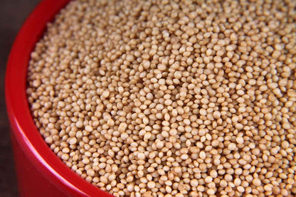 Rajgira Ramdana 100 Gm