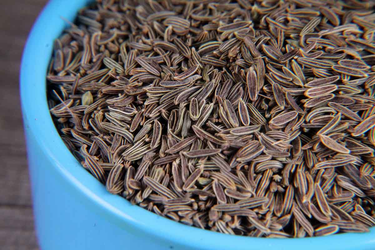 Shah Jeera/Cumin Seeds 20 Gm