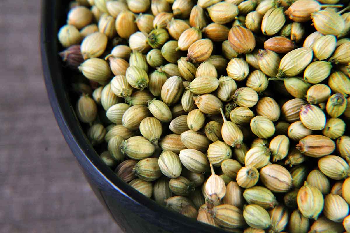 Whole Coriander/Dhania Seeds 200 Gm