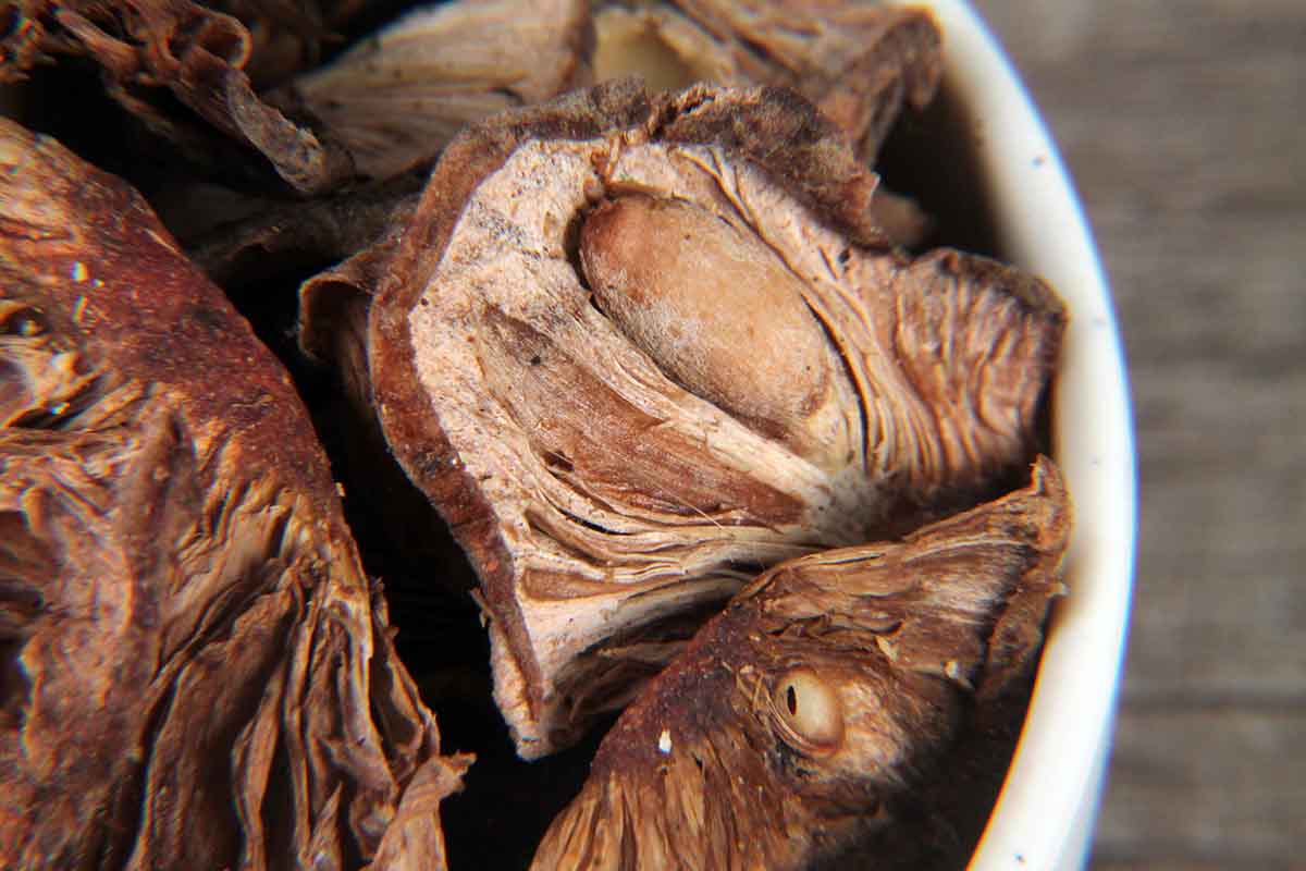 Kokum Phool/Mangosteen Slices 100 Gm