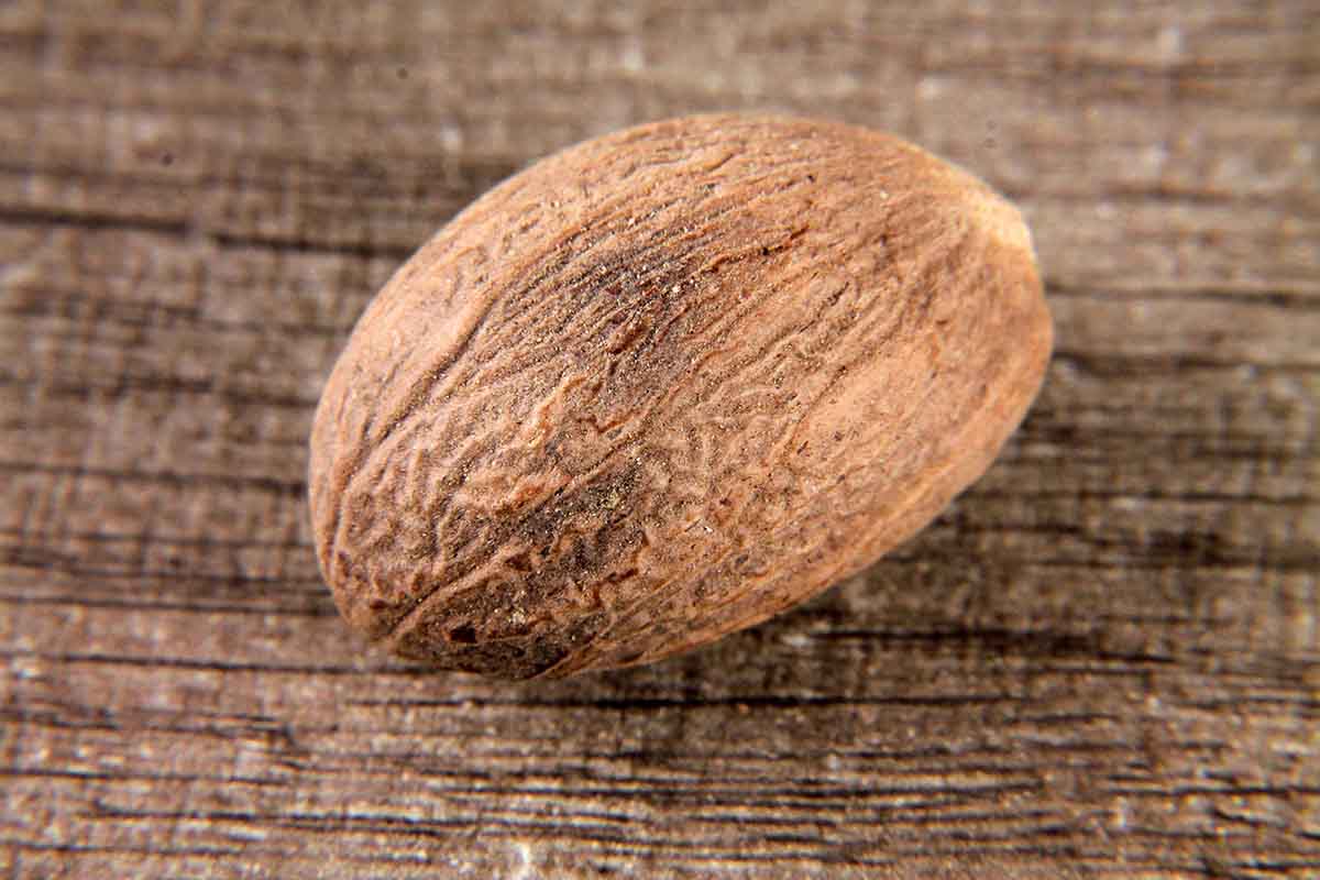 Nutmeg/Jaifal 1 Pc