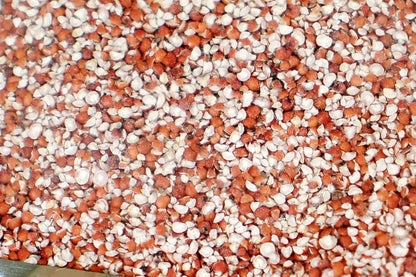 Nachani Unpolished Millet Dalia 250 Gm