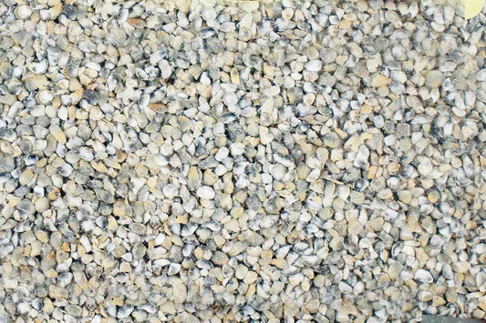 Bajra Unpolished Millet Dalia 250 Gm