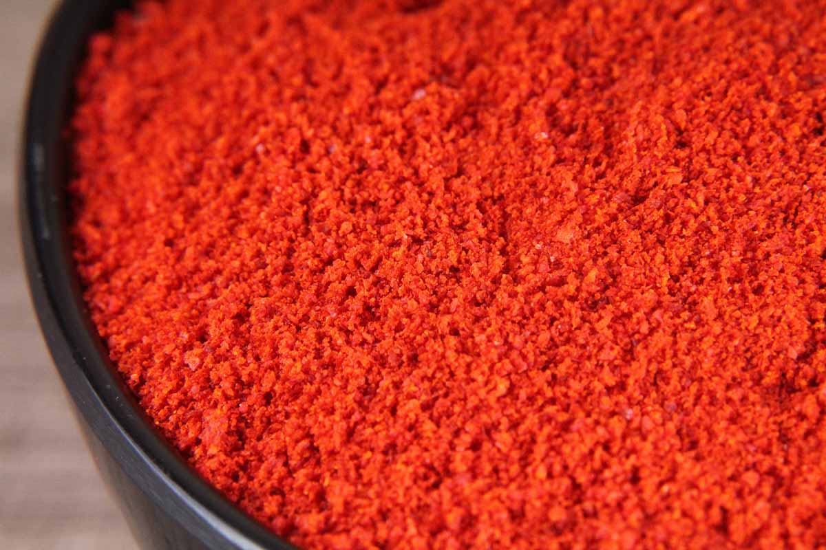 KASHMIRI RED CHILLI/MIRCH POWDER 500 GM