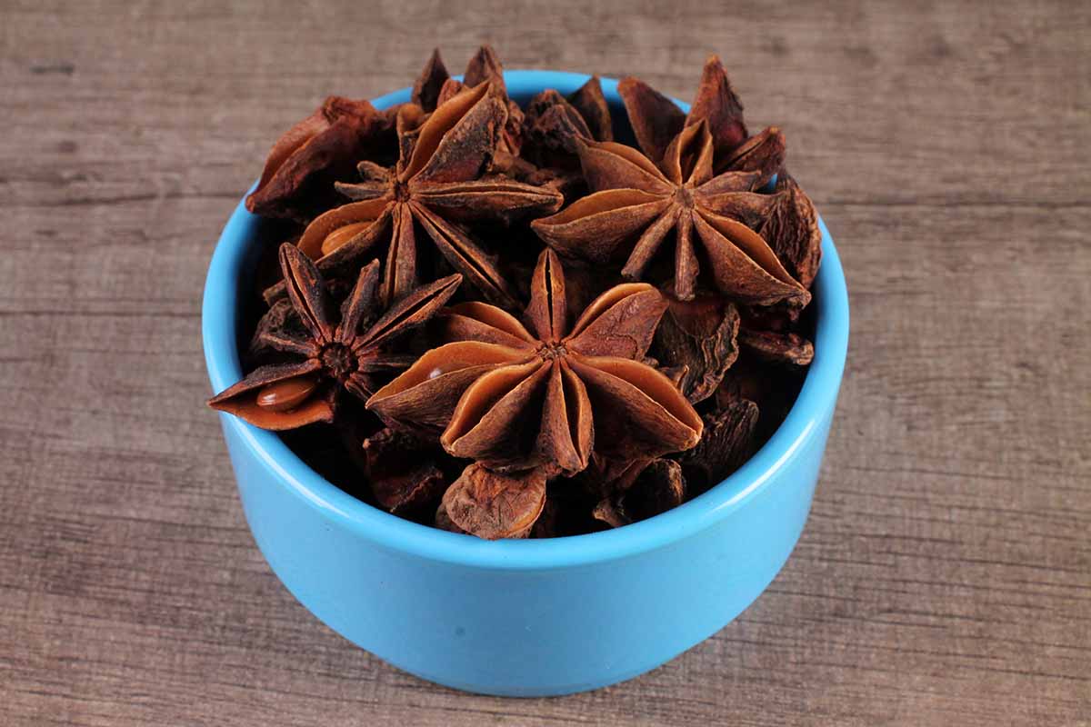 STAR ANISE/CHAKRI PHOOL 20 GM