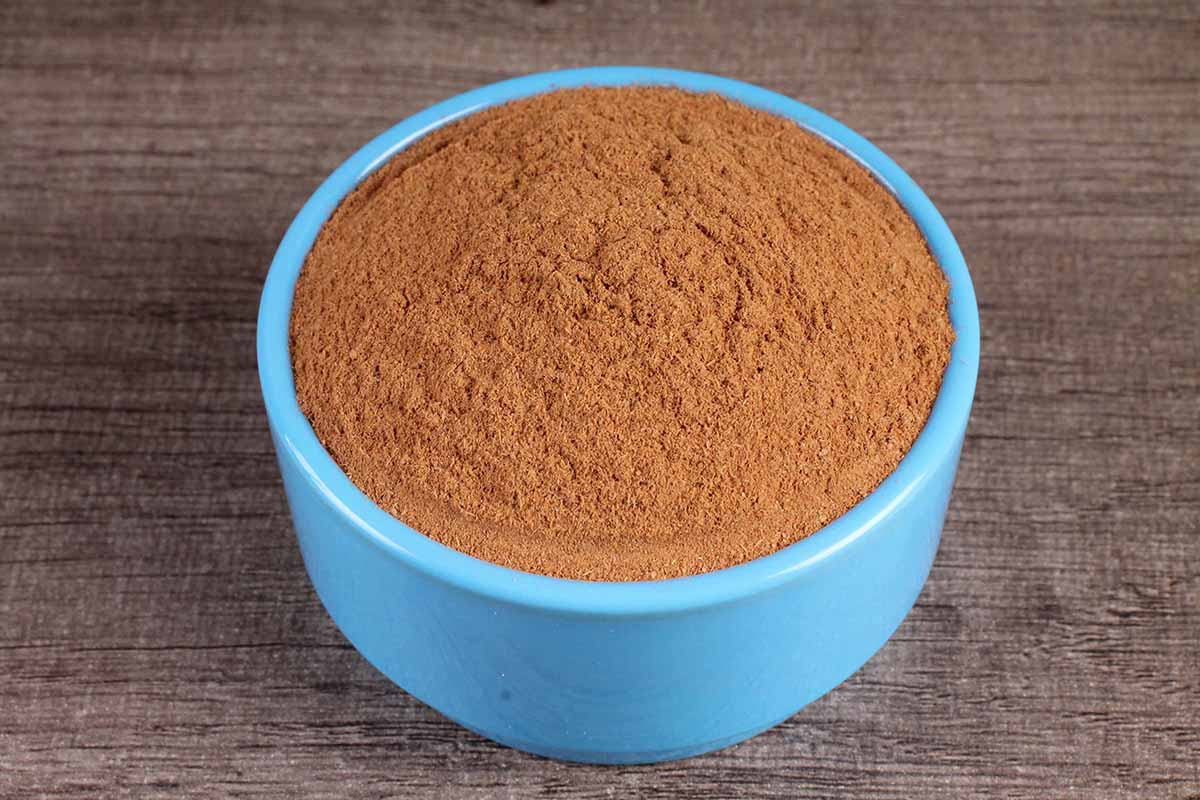 FREEZE DRIED SRILANKAN CINNAMAN/DALCHINI POWDER 50 GM