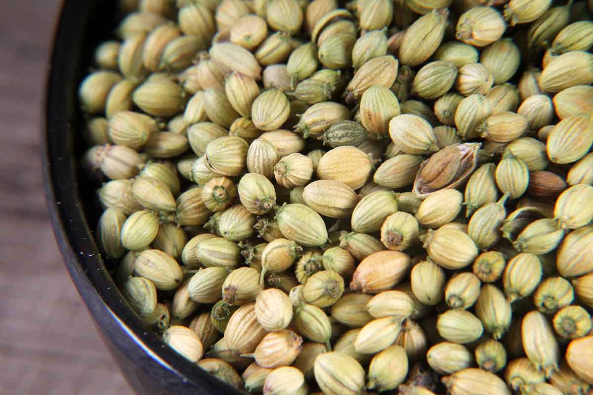 WHOLE CORIANDER/DHANIA SEEDS 100 GM