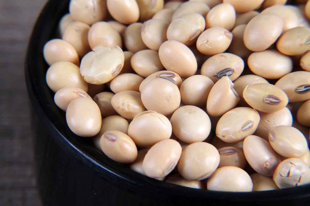 SOYABEAN/SOYA DANA 250 GM