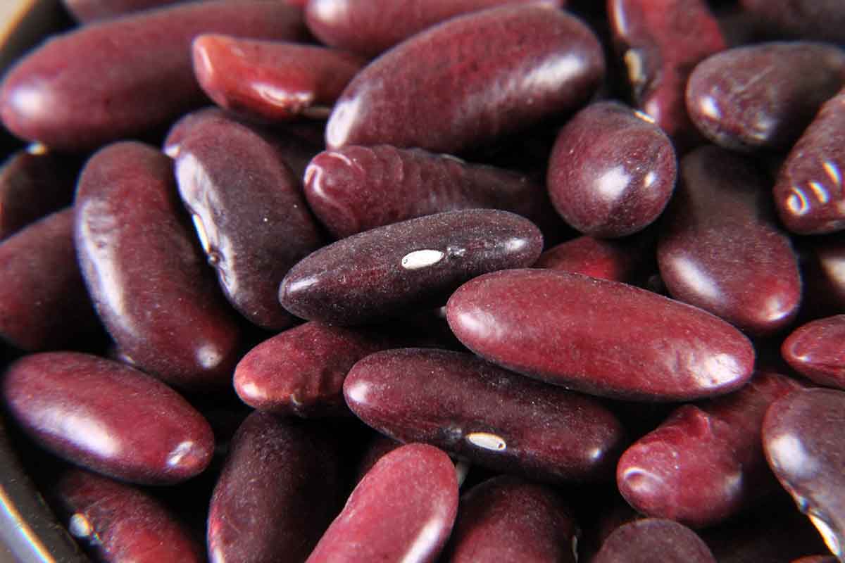 RED KIDNEY BEANS/RAJMA 500 GM